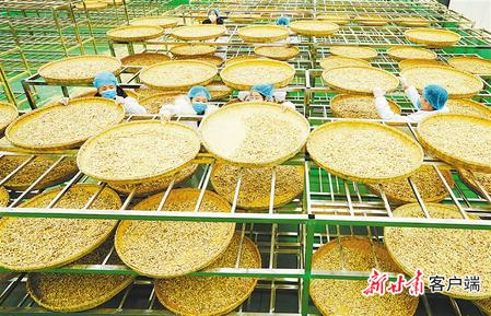 【决战决胜脱贫攻坚】书写决战脱贫攻坚的春天答卷——甘肃全力推进脱贫攻坚任务落实纪实