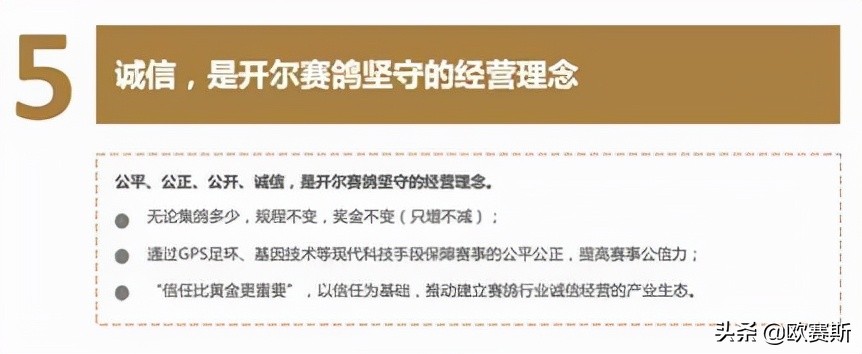 超级品牌日攻略,超级品牌日圆满结束