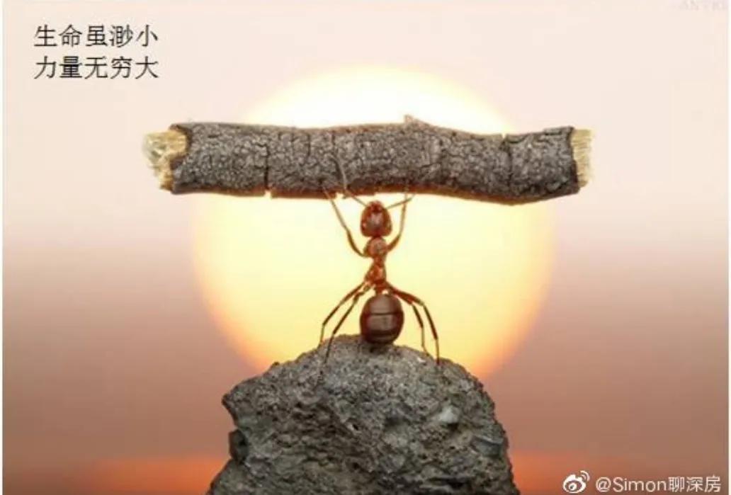 给高考失利同学的信,高考失利的感悟及解决方式