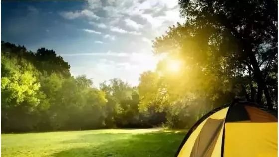 共享农庄创业项目加盟,小型休闲农庄创业方案分享