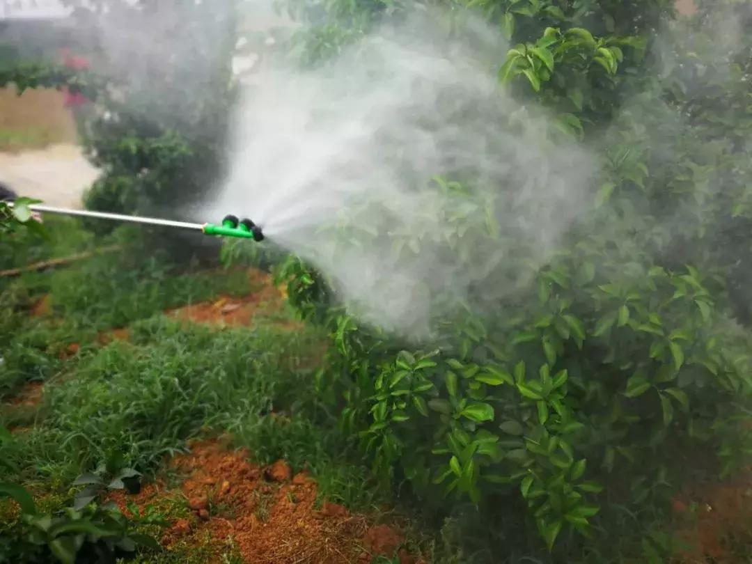 磷酸二氢钾溶解后多长时间有效,磷酸二氢钾溶解慢是正品还是假货