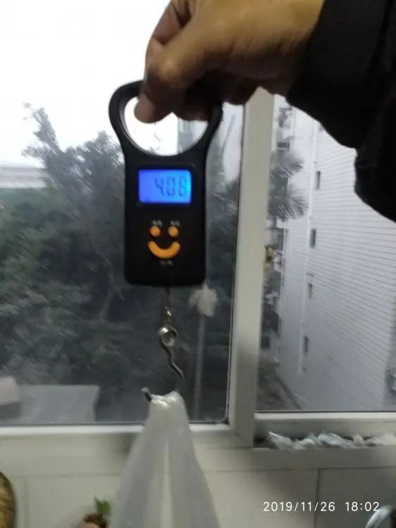 本汀宗师仙羽,本汀太极宗师仙羽鱼竿测试