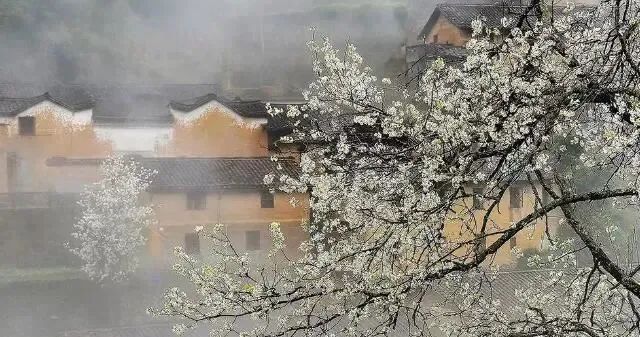 成语词典怎么查成语,最好的成语词典是什么