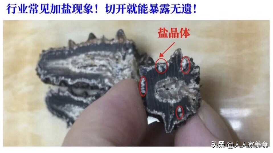 海参行业内幕,新鲜海参内幕深度揭秘