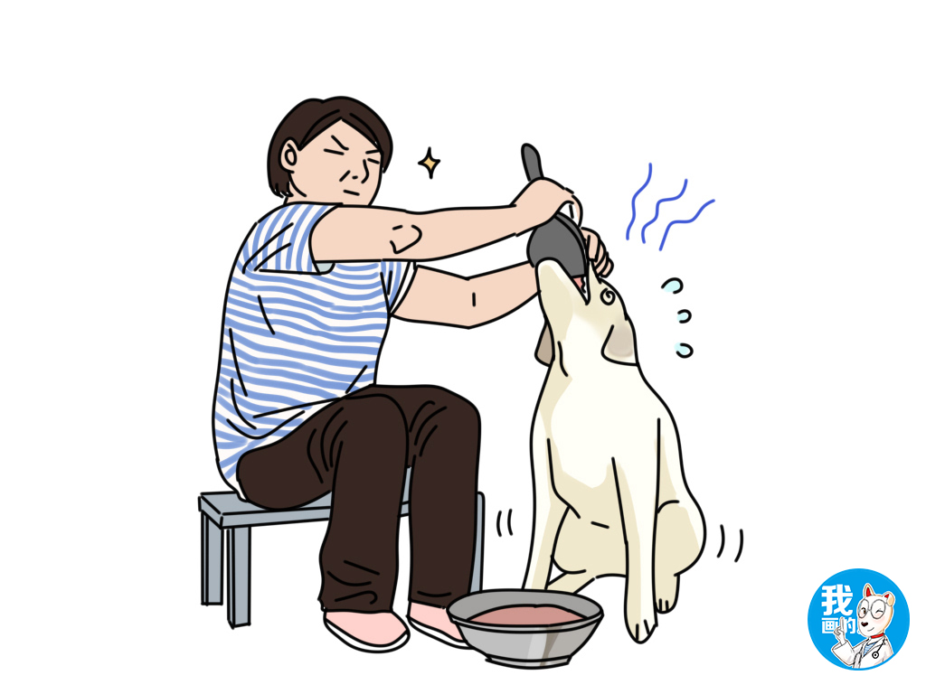 狗狗毛剃光了怎么让快速长出来,狗剃毛后怎么才能长快点