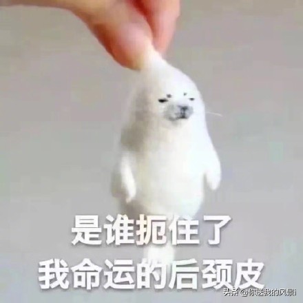 聊天小技巧女生篇,情侣聊天回复技巧女生版