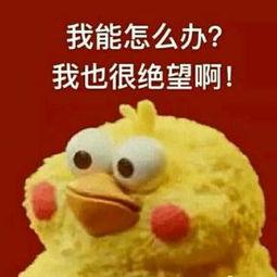 平价干皮整套彩妆推荐哪款好,平价彩妆适合暗哑无光泽的皮肤