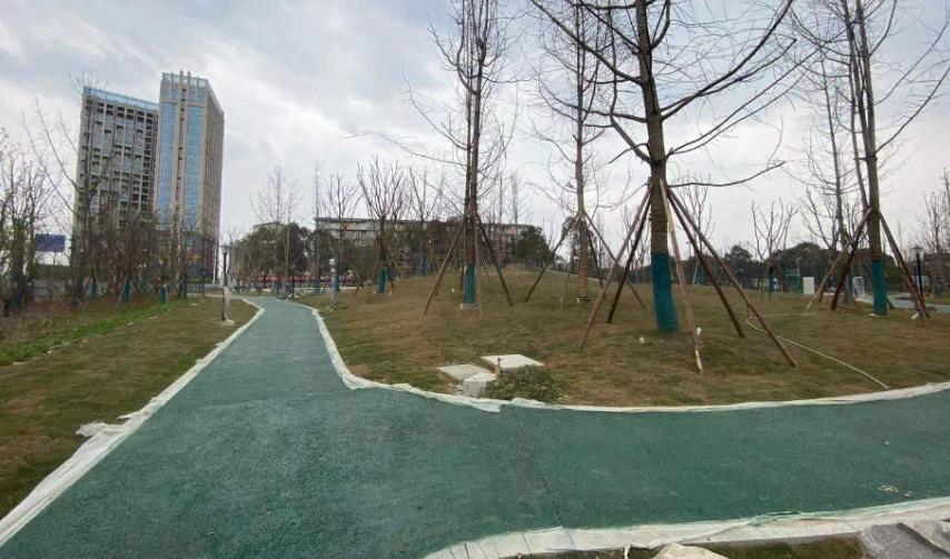 新都斑竹园新城规划,新都斑竹园滨河公园修建