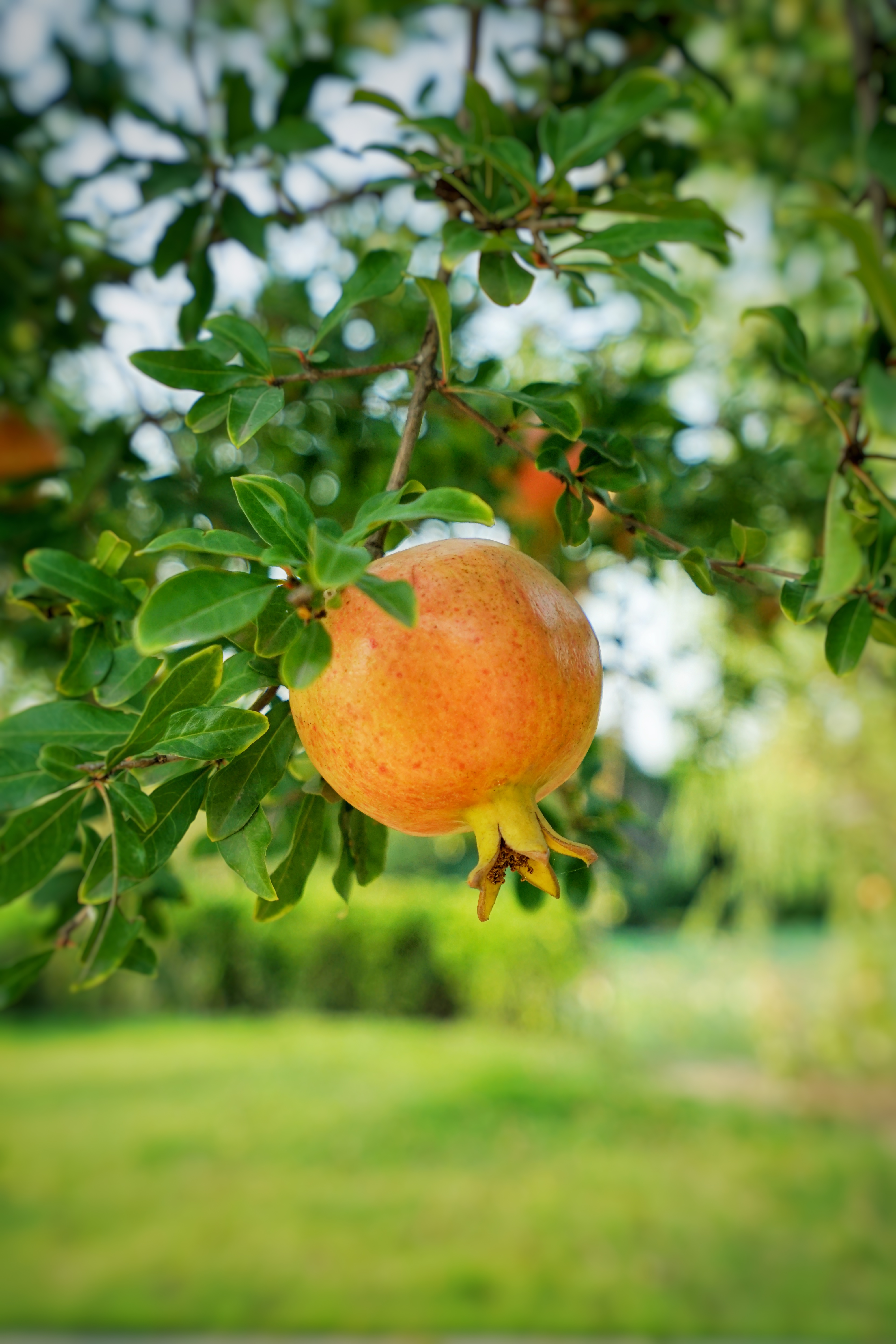 开封旅游连锁酒店推荐,开封的旅游酒店