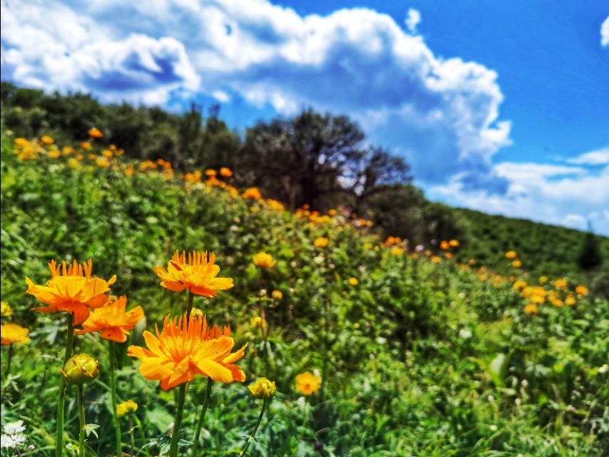 驼梁‖一处来了就会让你爱上的地方