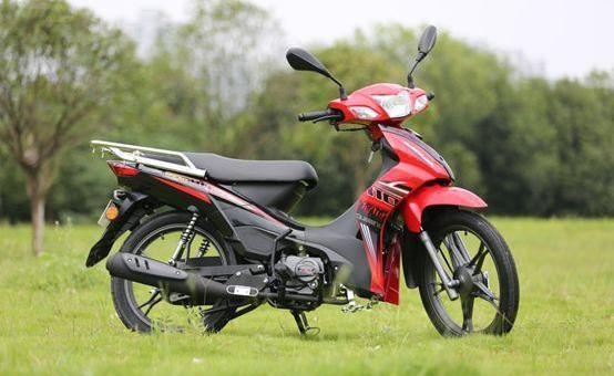 2019十大最皮实耐用的弯梁车,最便宜的国产弯梁车