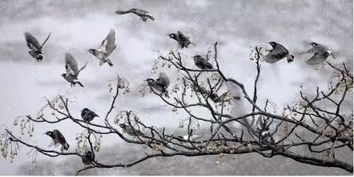 摄影专用题材推荐,初学摄影必备十大题材