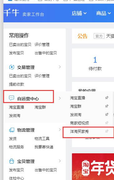 新版洋淘买家秀在哪里找,2019年洋淘买家秀玩法