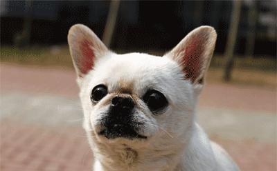 为什么吐舌,宝宝总是吐舌头什么原因