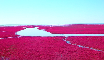 北京的北边有片红红的海北京很多人都没有去过