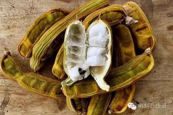 世界10大坑人黑暗水果，最后一种你可能还吃过…