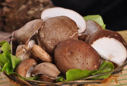 如何挑选香菇的最好方法,香菇怎样挑选才是最好的