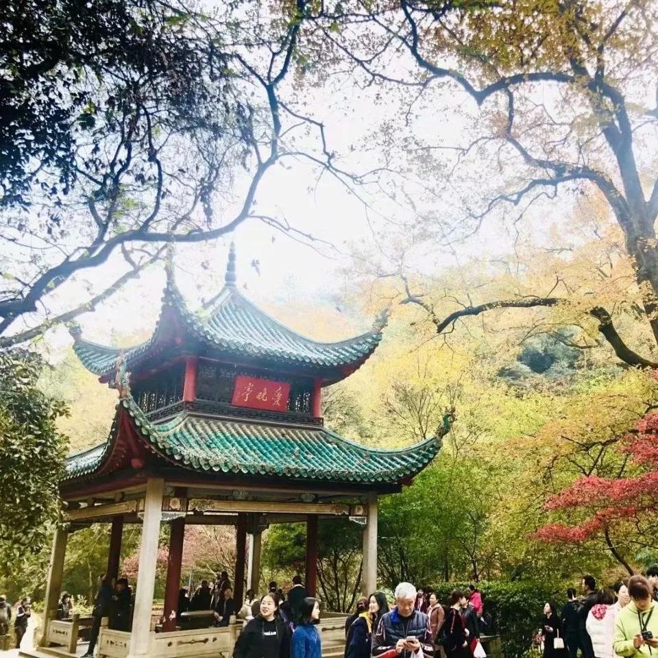 长沙遛娃亲子游攻略,长沙周末亲子游室内好去处