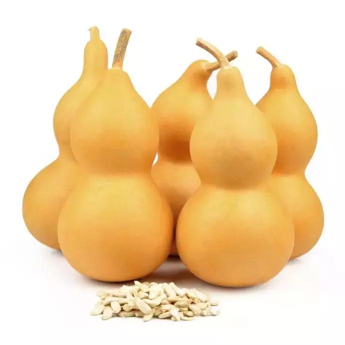 手盘葫芦怎么盘好,手盘葫芦最简单的方法