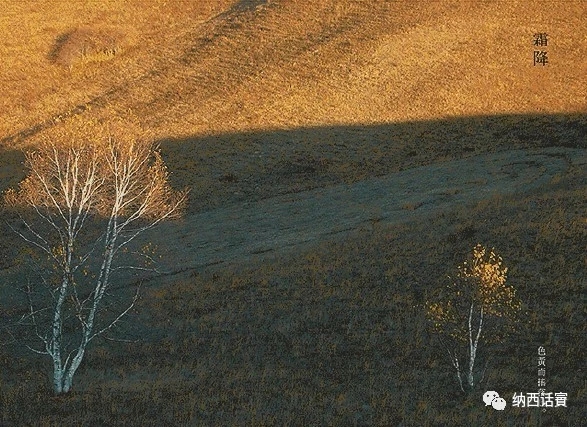 杨杰宏:霜降了,别着凉