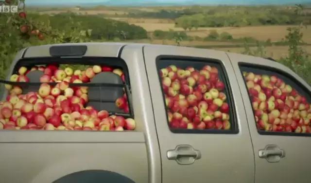 5部真正的零基础英语启蒙动画片,适合英语启蒙动画片推荐