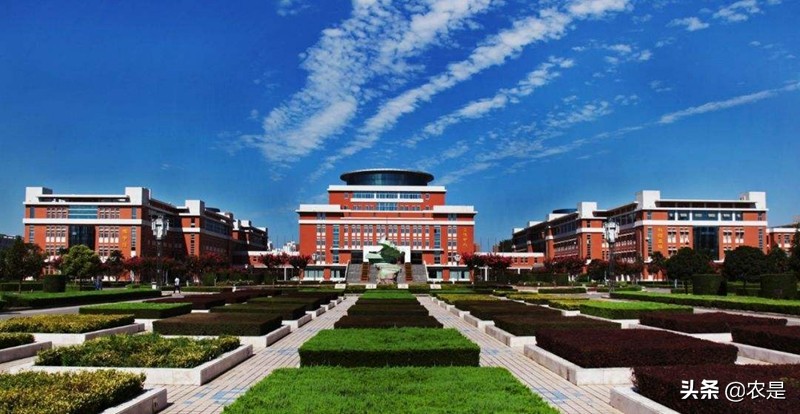 李晓，河北辛集人，西北农林大学副教授、博导，猪业+人造肉专家