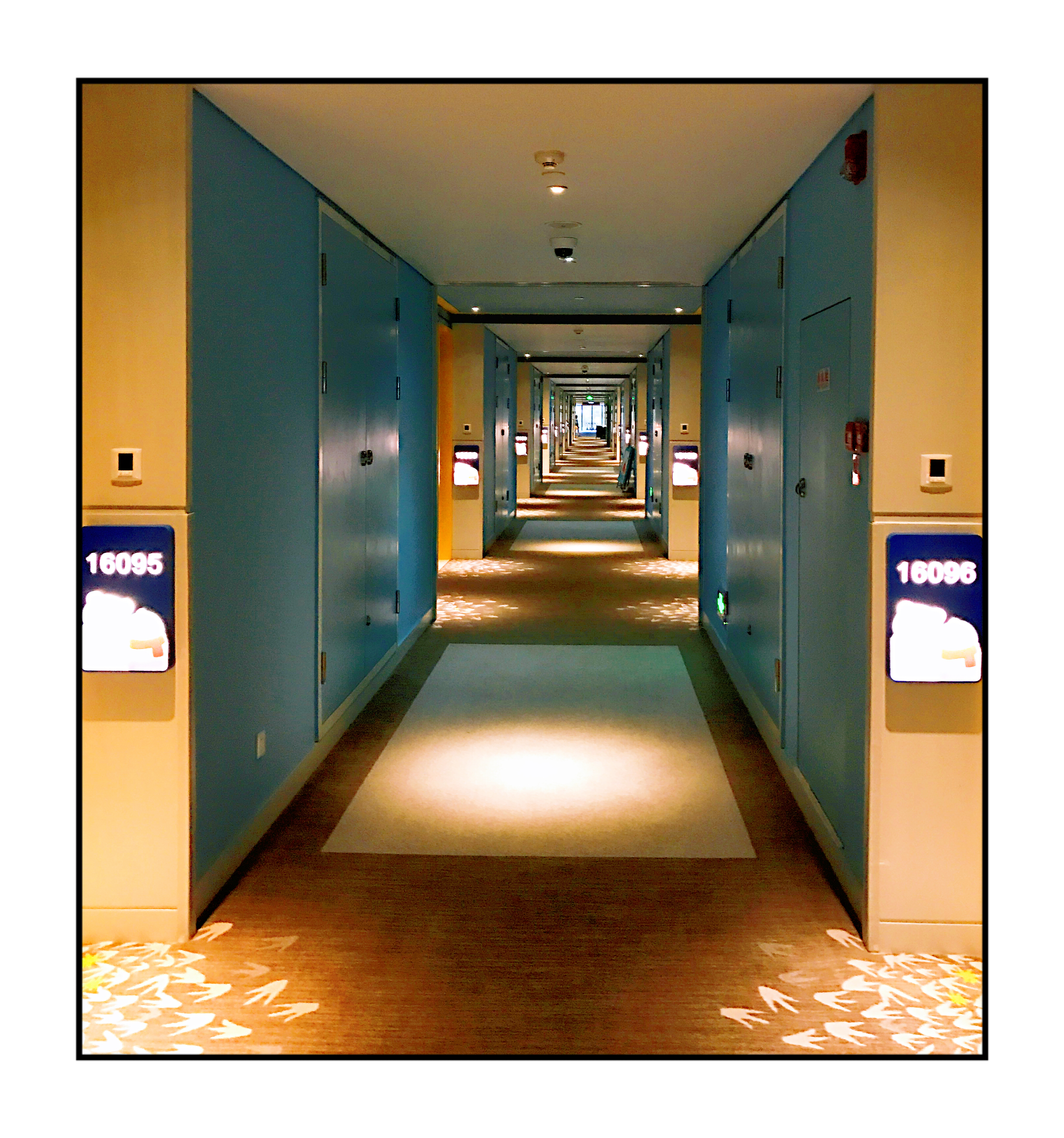 珠海长隆海洋王国亲子游攻略最新,珠海广州长隆攻略亲子游