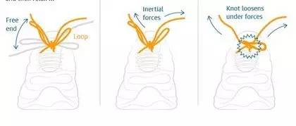 鞋带为什么经常掉,鞋带怎么系不易掉还好看跑鞋