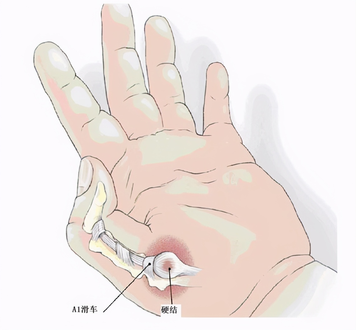 西昊人体工学椅旗舰款,西昊人体工学椅新品漂流体验季