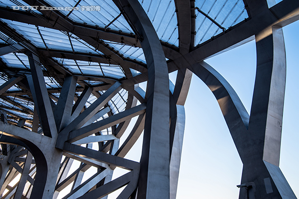 鸟巢演唱会2024时间表,鸟巢国家体育场简介大全