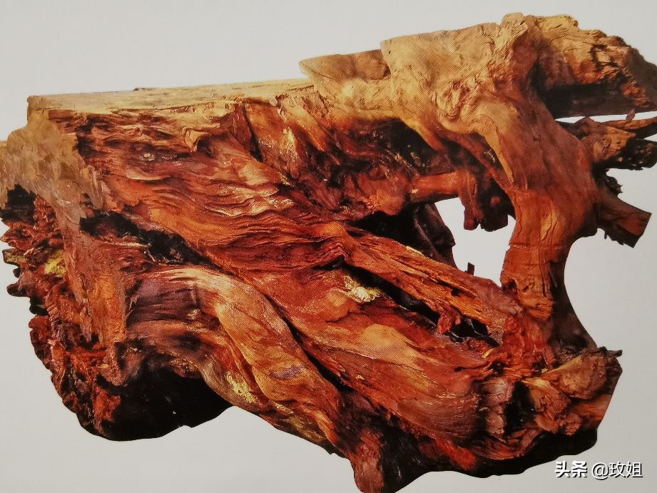 阴沉木和乌木是同一种木吗,阴沉木是什么木