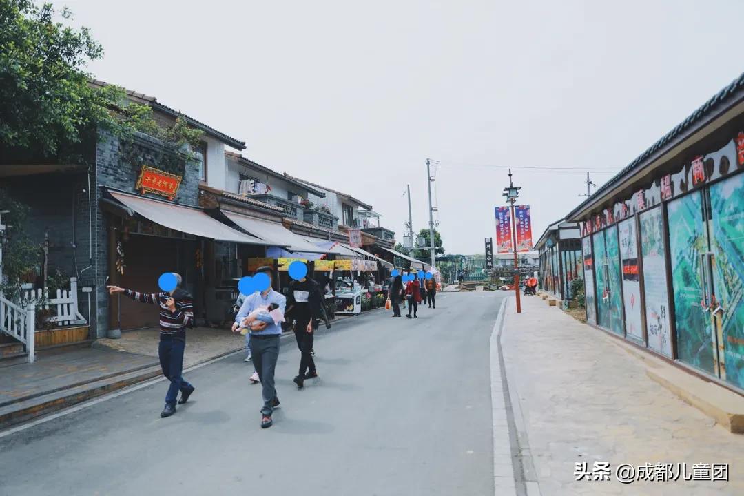 空港花田和空港体育公园哪个好,空港运动公园看飞机攻略