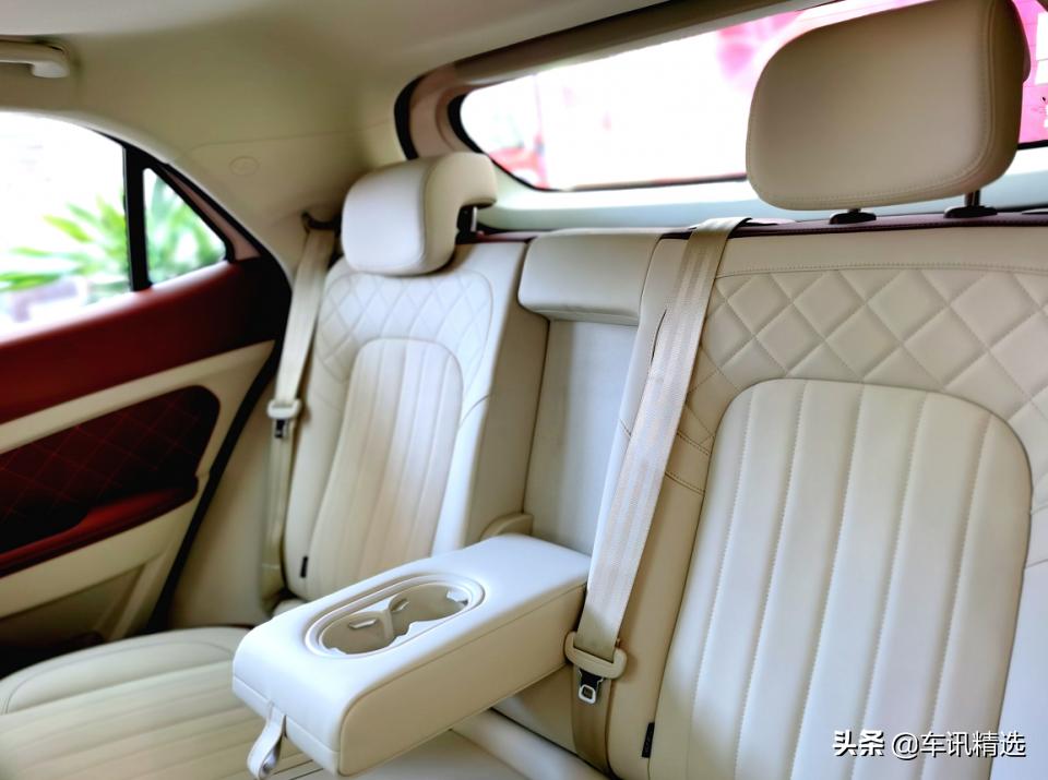 这有一只“好猫”登陆厦门，欢迎来“撸”