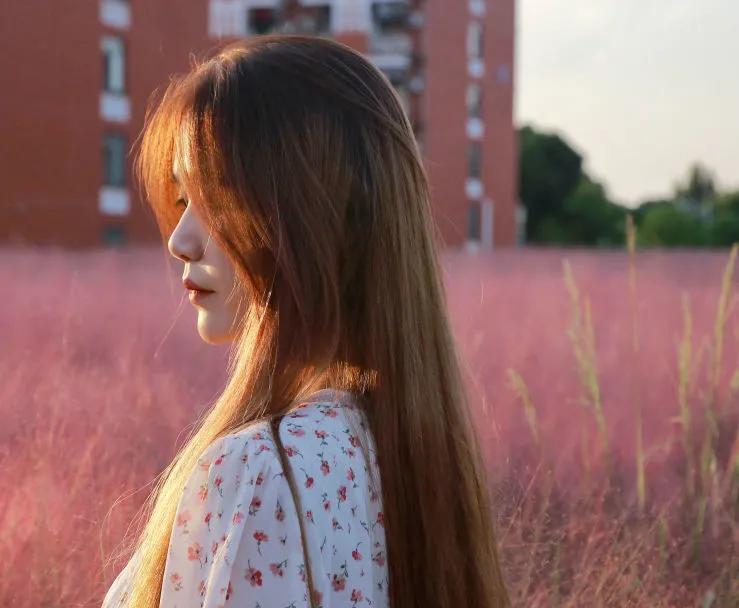 金的功用,金的功能主治