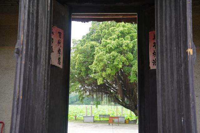 广州十大古村,广州十大最美古村落