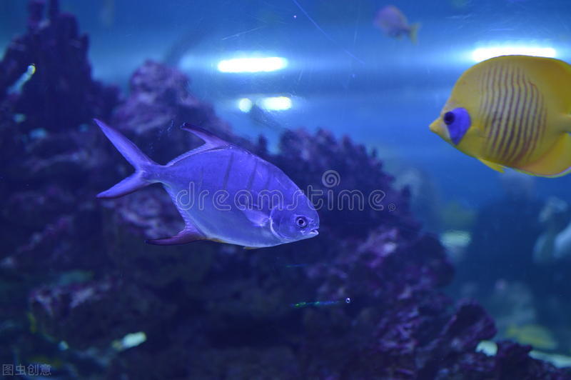 水退一尺鱼退一丈有这样的说法吗,水退到半米能钓到鱼吗