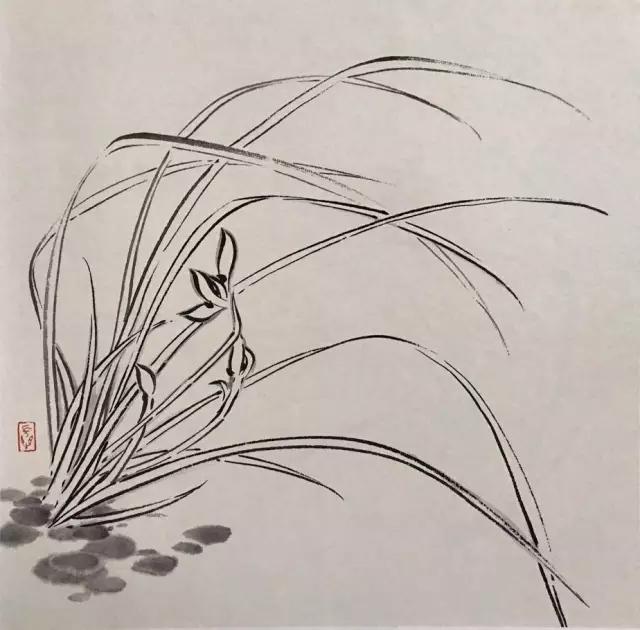 兰花绘画技法教程视频,泰国兰花绘画技法