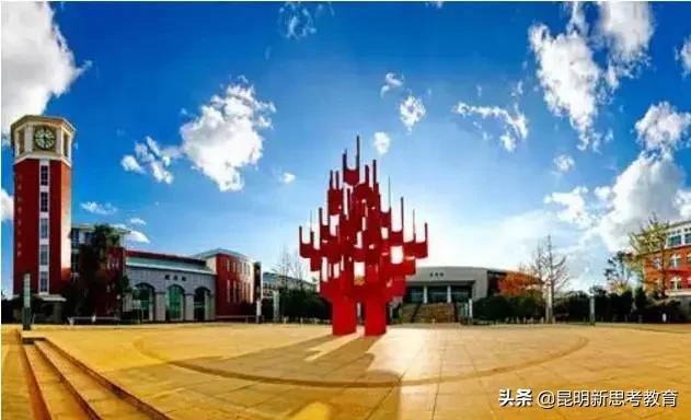 昆明中学劫持人质事件,昆明最贵小学排名