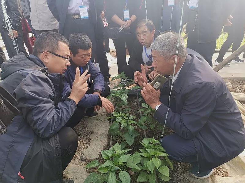 抢名额，19期中国无土栽培和土壤种植技术升级集成培训会