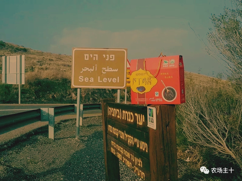 从乞丐到身价200万仅用一年时间,从乞讨到名相的传奇人生