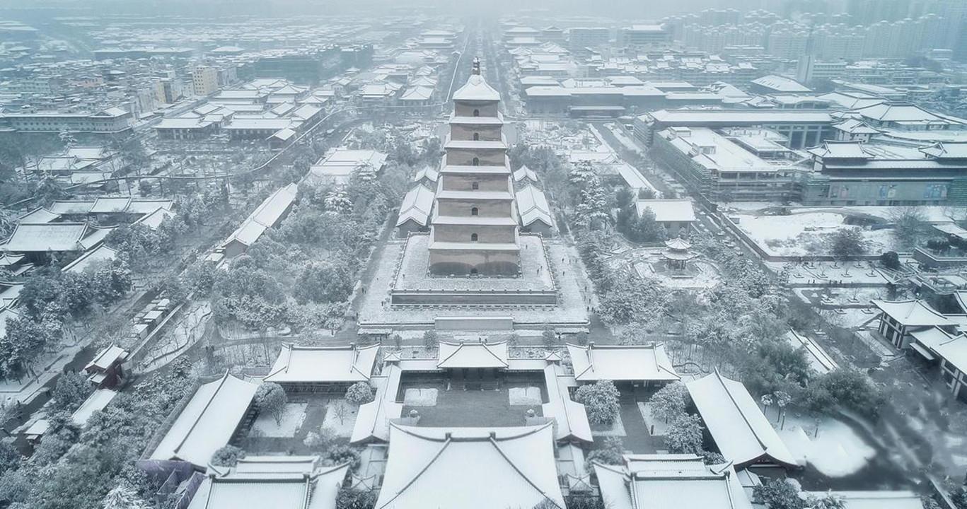 离离原上草全诗说了什么道理,离离原上草全诗的主要内容