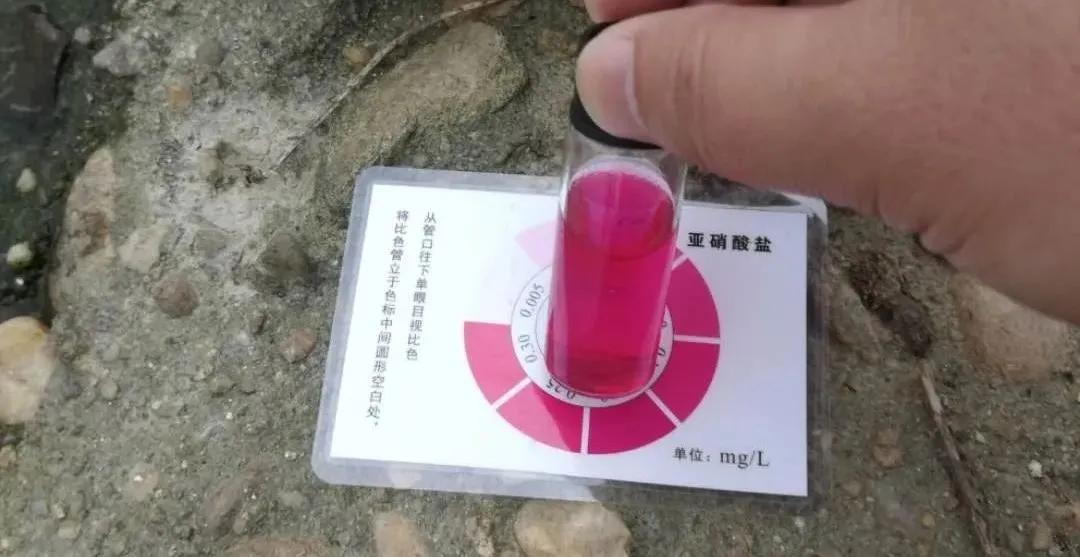 皇冠鱼烂身病怎么治疗,鱼烂身最佳治疗方法