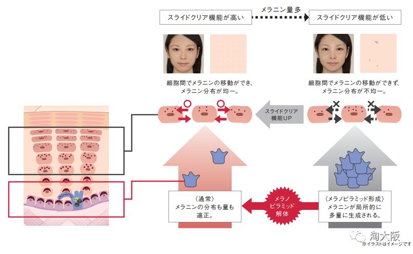 POLA美白面膜,pola焕亮面膜