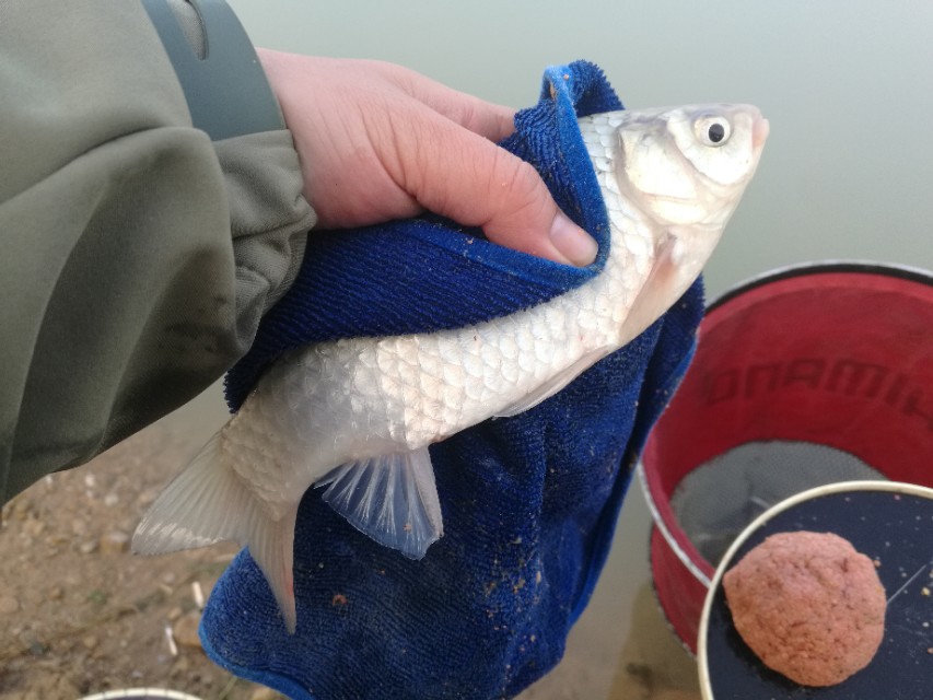 武汉冬钓钓点,武汉冬钓路亚