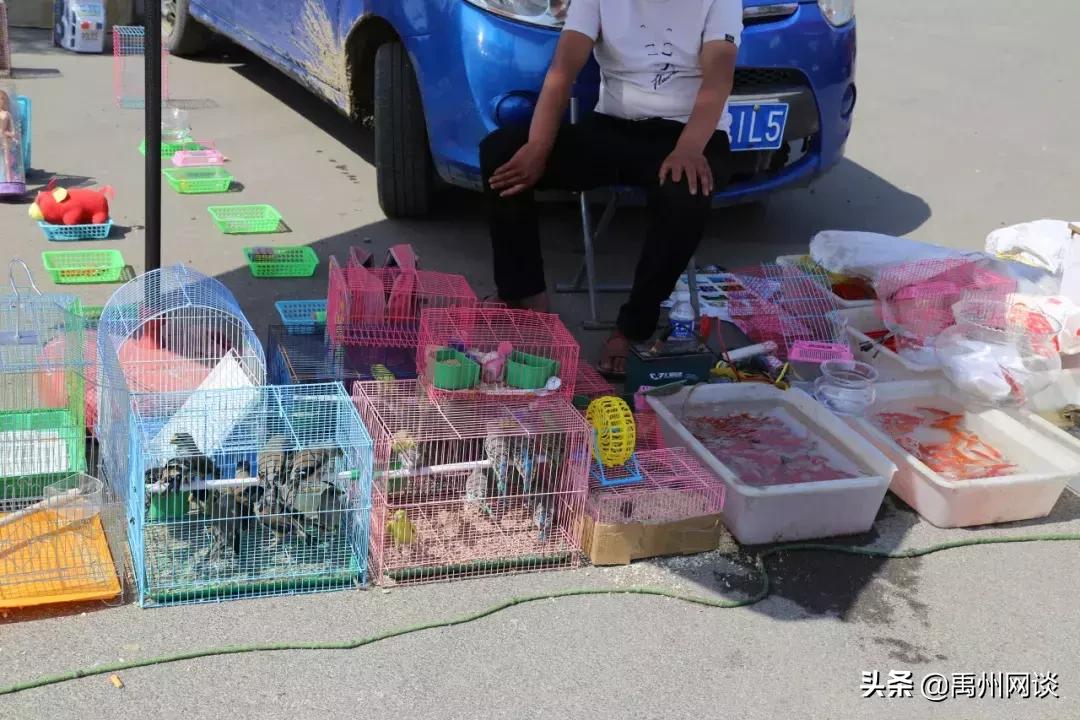 禹州人要和褚河镇说再见了！褚河镇！这些刚拍的照片！