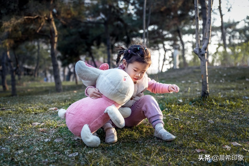 我的第一台相机作品,单反入门级相机推荐