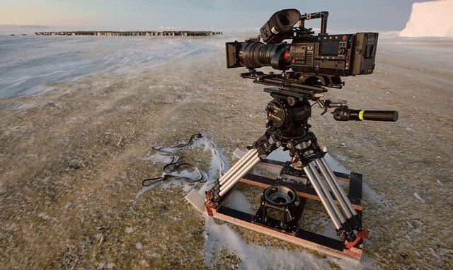 bbc纪录片揭露残忍人类对待动物,bbc动物纪录片造假事件