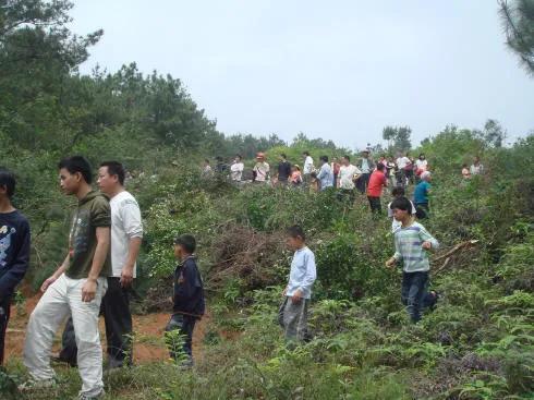 广西传统节日作文二年级,具有广西民族特色的传统节日