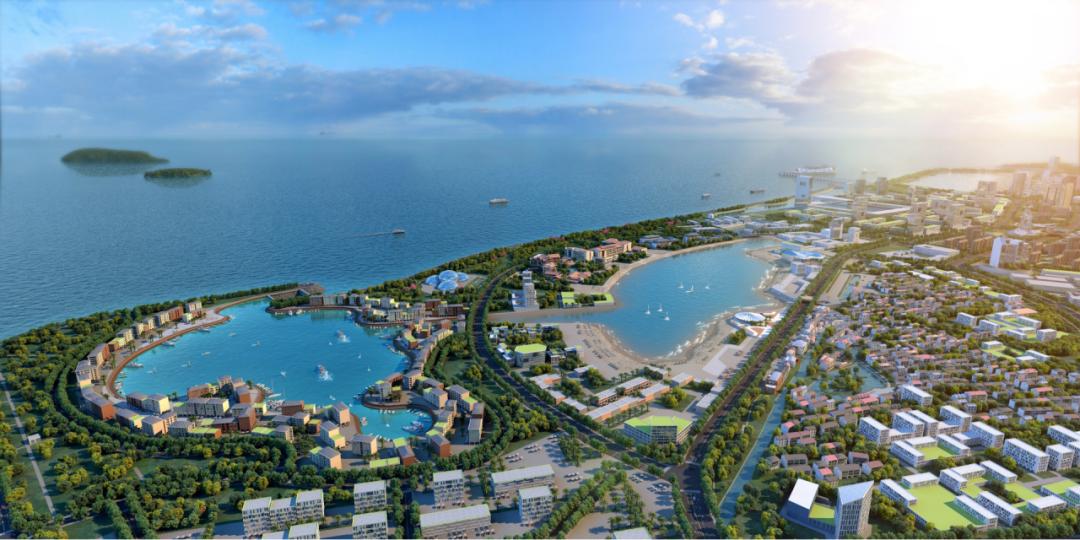 上海金山打造上海湾区,上海金山湾区最新规划