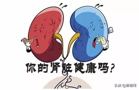 一文明白肾阳虚,肾炎防治问答